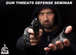 Gun thretas seminar